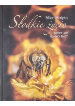 Słodkie życie - Milan Motyka - książka  wyd. 2017