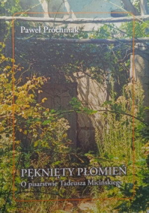 Pęknięty płomień - Paweł Próchniak - książka  wyd. 2006