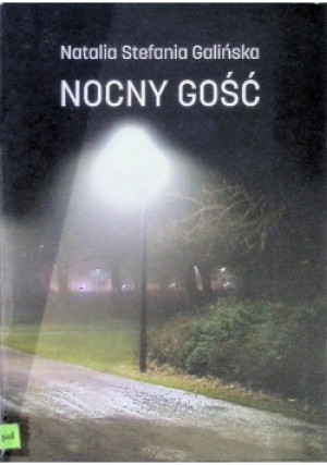 Nocny gość - Natalia Stefania Galińska - książka  wyd. 2020