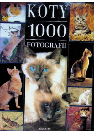 Koty 1000 fotografii - Philippe Coppe - książka  wyd. 2001