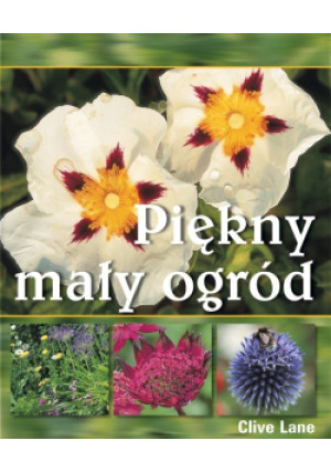 Piękny mały ogród - Clive Lane - książka  wyd. 2009