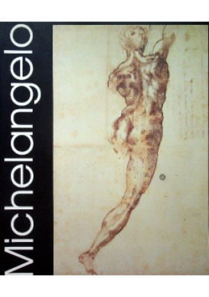 Michelangelo - książka  wyd. 2005