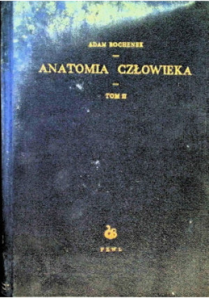 Anatomia człowieka Tom 2 - Adam Bochenek - książka  wyd. 1953