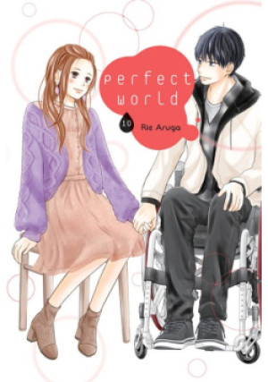 Perfect World Tom 10 - Rie Aruga - książka  wyd. 2021