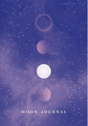 Moon Journal - Sandra Sitron - książka  wyd. 2018