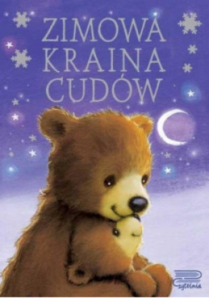 Zimowa kraina cudów - książka  wyd. 2020