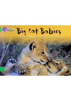 Big Cat Babies - Jonathan Scott, Angela Scott - książka  wyd. 2005