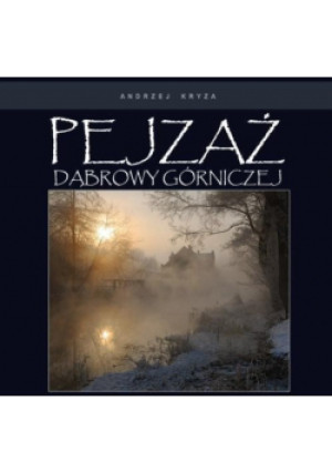 Pejzaż Dąbrowy Górniczej - Andrzej Kryza - książka  wyd. 2014