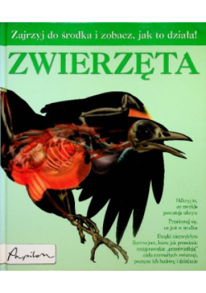 Zwierzęta - Rob Shone - książka  wyd. 2009