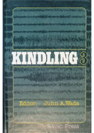 Kindling 3 - Juhn A. Wada - książka  wyd. 1986