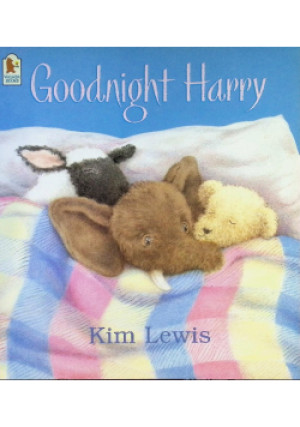 Goodnight Harry - Kim Lewis - książka  wyd. 2004