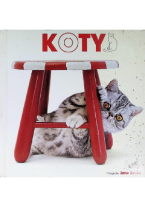 Koty - książka  wyd. 1990
