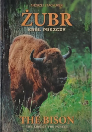 Żubr Król Puszczy - Andrzej Stachurski - książka  wyd. 2020