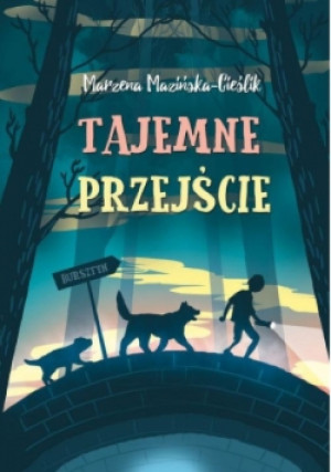 Tajemne przejście - Marzena Mazińska-Cieślik - książka  wyd. 2018