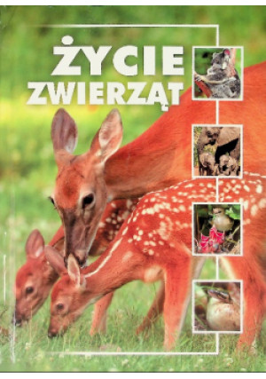 Życie zwierząt - Remigiusz Koziński - książka  wyd. 2018