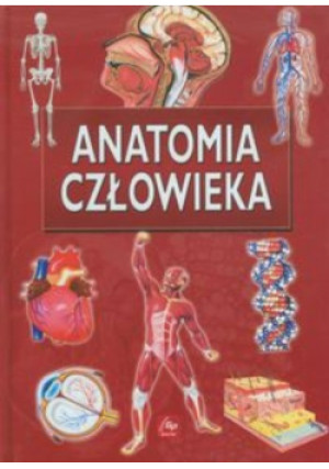 Anatomia człowieka - książka  wyd. 2012
