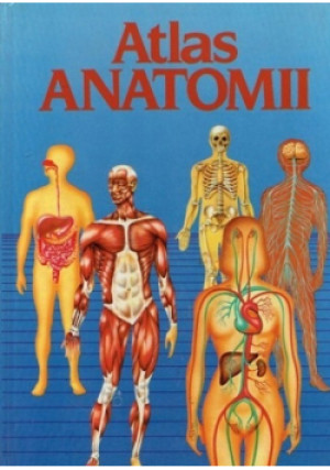 Atlas anatomii - Iwona Olczak - książka  wyd. 1991