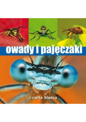 Owady i pajączki - Krzysztof Pabis - książka  wyd. 2009