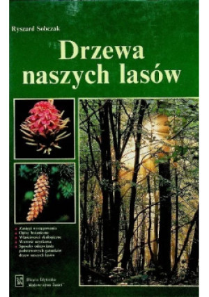Drzewa naszych lasów - Ryszard Sobczak - książka  wyd. 1996