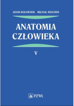 Anatomia człowieka Tom 5 - Adam Bochenek, Michał Reicher - książka  wyd. 2003