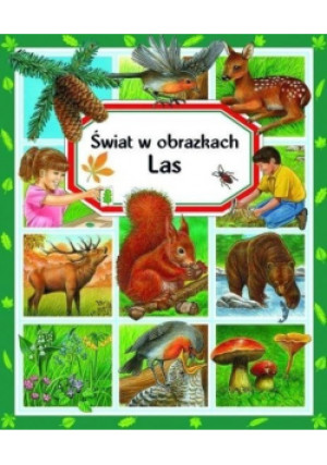 Świat w obrazkach Las - książka  wyd. 2012