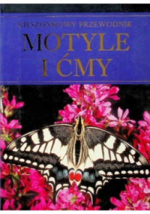 Motyle i ćmy - Elizabeth Balmer - książka  wyd. 2009