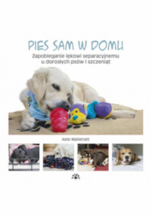 Pies sam w domu - Kate Mallatratt - książka  wyd. 2018