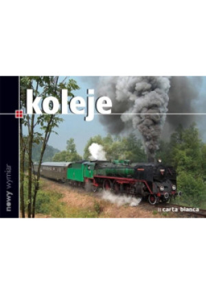 Koleje - Judyta Kurowska-Ciechańska, Ariel Ciechański - książka reportaż wyd. 2007