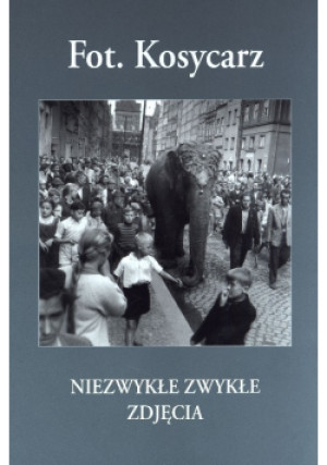 Niezwykłe zwykłe zdjęcia - Maciej Kosycarz - książka  wyd. 2006