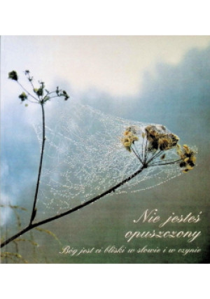 Nie jesteś opuszczony - Gabriele - książka  wyd. 1995