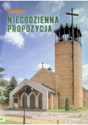 Niecodzienna propozycja - Airamgr - książka historyczna wyd. 2020