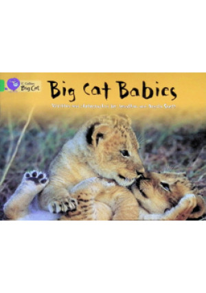 Big Cat Babies - Jonathan Scott, Angela Scott - książka  wyd. 2005