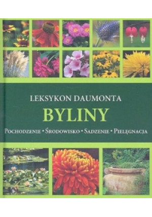 Leksykon Daumonta Byliny - Andrea Rausch - książka  wyd. 2006