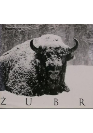 Żubr - Jan Raczyński - książka  wyd. 1978