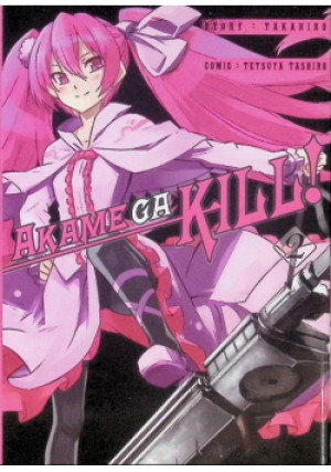 Akame ga Kill Tom 11 - Takahiro, Tetsuya Tashiro - książka  wyd. 2019