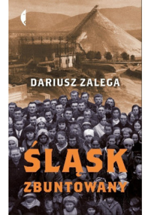 Śląsk zbuntowany - Dariusz Zalega - książka historyczna wyd. 2019