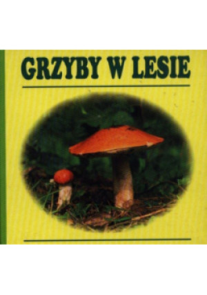Grzyby w lesie - książka  wyd. 2012
