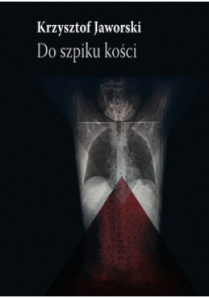 Do szpiku kości Ostatnia powieść awangardowa - Krzysztof Jaworski - książka  wyd. 2013