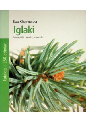 Iglaki - Ewa Chojnowska - książka  wyd. 2010