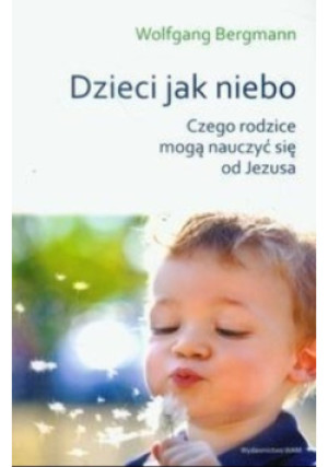 Dzieci jak niebo - Wolfgang Bergmann - książka  wyd. 2012