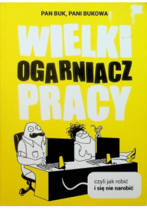 Wielki Ogarniacz Pracy - książka  wyd. 2019