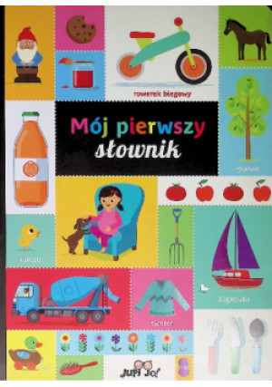 Mój pierwszy słownik - Amy Cartwright - książka  wyd. 2020