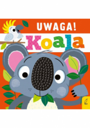 Uwaga, koala! - Rosie Greening - książka  wyd. 2021