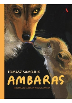 Ambaras - Tomasz Samojlik, Elżbieta Wasiuczyńska - książka  wyd. 2018