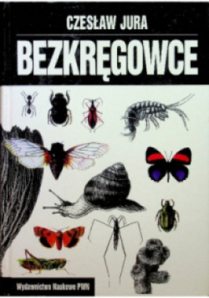 Bezkręgowce - Czesław Jura - książka  wyd. 1996