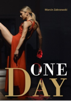 One day - Marcin Zakrzewski - książka  wyd. 2020