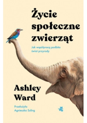 Życie społeczne zwierząt - Ashley Ward - książka  wyd. 2024