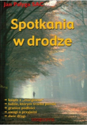 Spotkania w drodze - Alain Besancon - książka  wyd. 2000