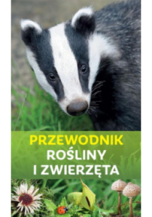 Przewodnik rośliny i zwierzęta - Ursula Stichmann-Marny - książka  wyd. 2025