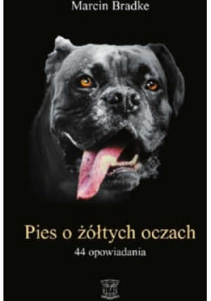Pies o żółtych oczach - Marcin Bradke - książka  wyd. 2017